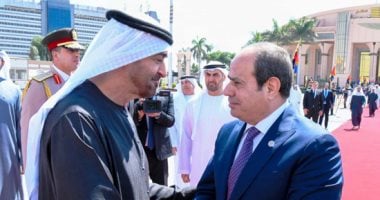 الرئيس السيسى ونظيره الإماراتى يرحبان بمبادرة دونالد ترامب لوقف الحرب فى غزة