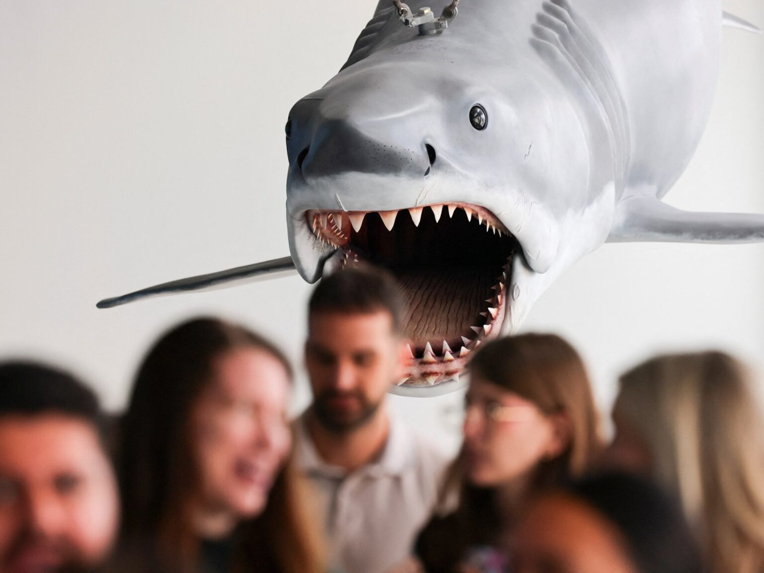 متحف الأوسكار يحتفي بالذكرى الـ50 لـ"الفك المفترس" بـ200 قطعة نادرة | فن