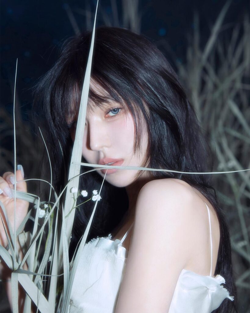 افتتح ويندي (Red Velvet) موقعًا رسميًا في اليابان و Fanclub
