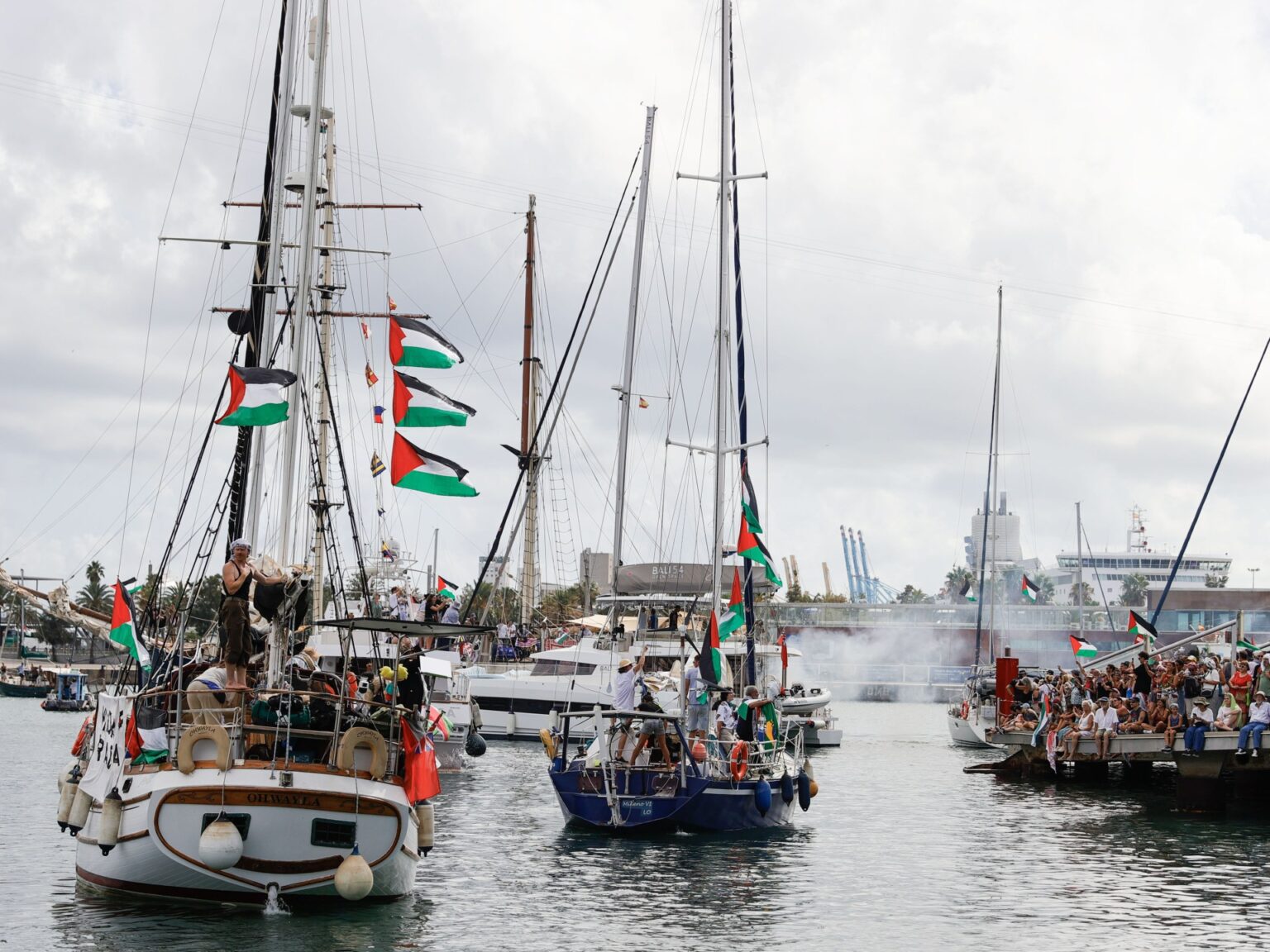 ألبانيز تطالب بحماية عاجلة لسفن أسطول الصمود العالمي بعد "هجوم تونس" | أخبار