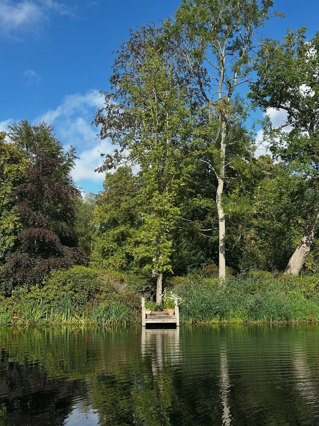 لقطة للجزيرة التي احتضنت مثوى الاميرة ديانا الأخير (انستغرام)