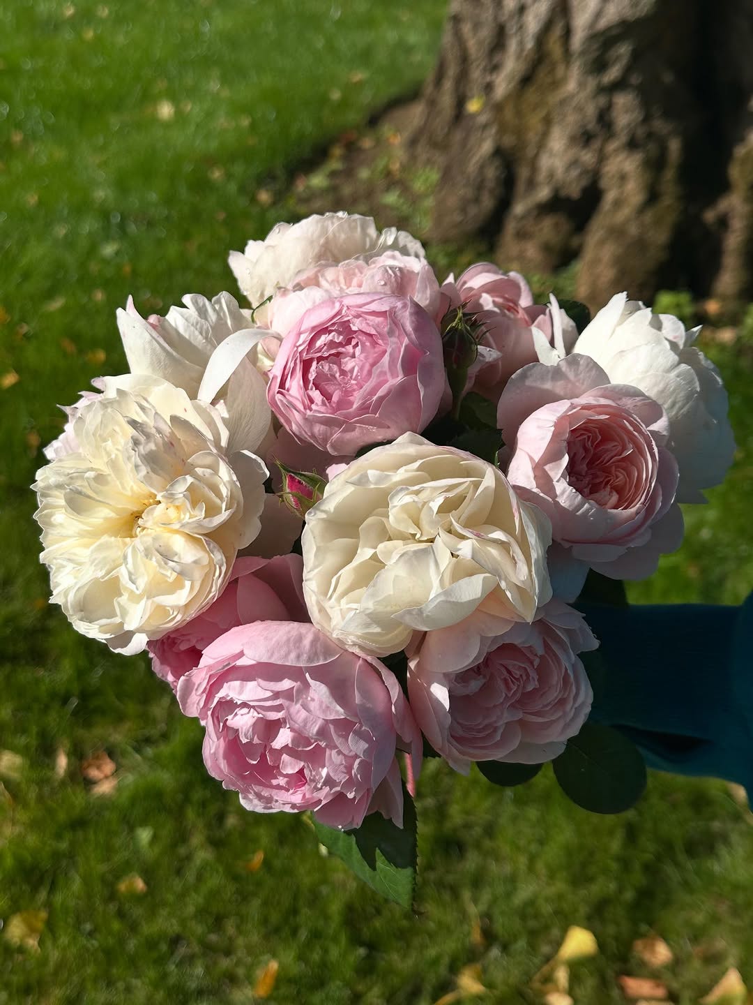 باقة ورد للأميرة ديانا من شقيقها تشارلز سبنسر في ذكرى رحيلها 28 (انستغرام)