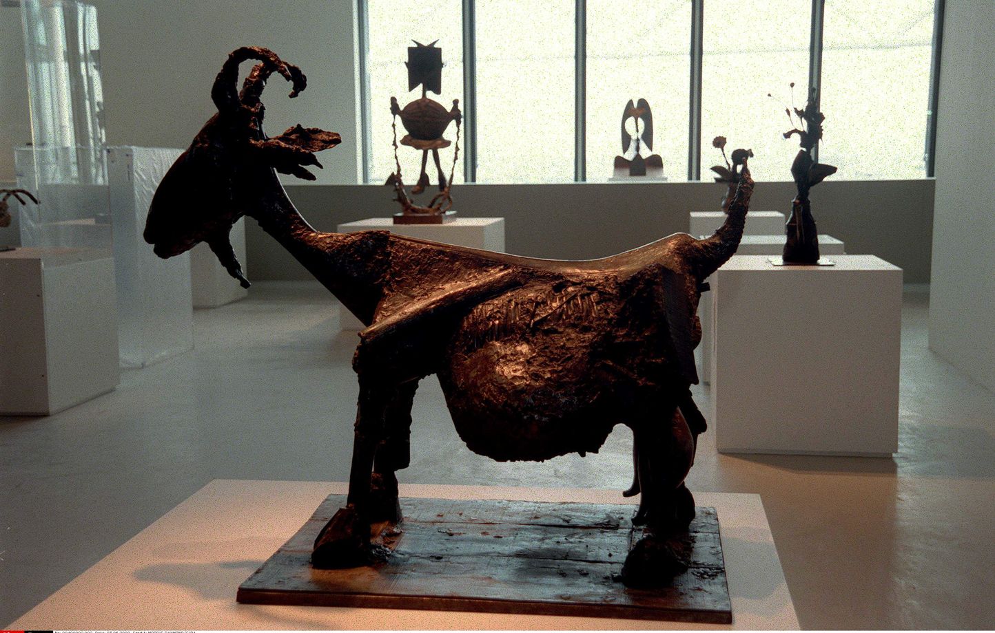 منحوتة “الماعز“ لبيكاسو. (وكالات)