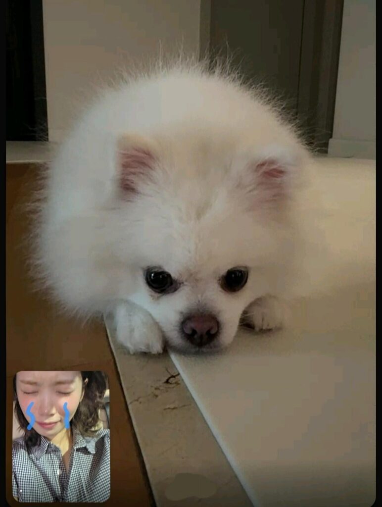 250909 Kim Chaewon Weverse Update (الفذ. شيرو)