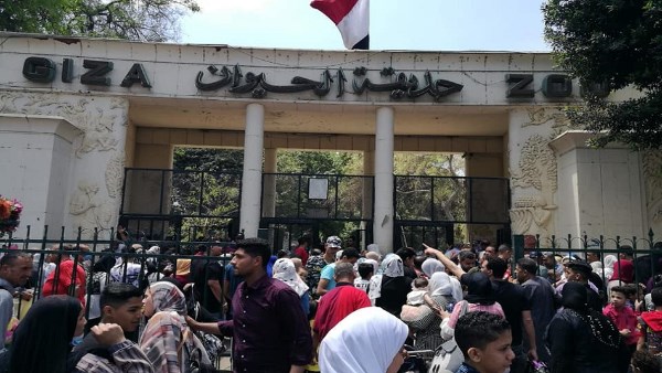 موعد افتتاح حديقة الحيوان رسمياً .. وسعر التذاكر الجديدة