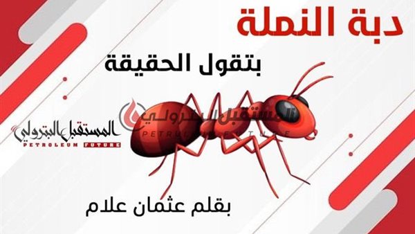 12 خبر في دبة النملة عن الحركة والعربيات والطواجن والتجديدات