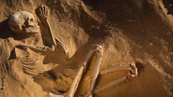 جريمة عمرها 5 سنوات.. هيكل عظمي يكشف قتل شابين لشقيقهما بسبب معاملته لوالدتهم جريمة عمرها 5 سنوات.. هيكل عظمي يكشف قتل شابين لشقيقهما بسبب معاملته لوالدتهم