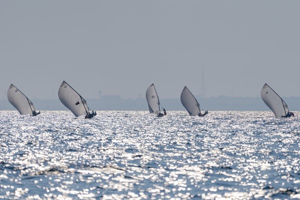 50 محملاً تكتب تفاصيل سباق الحديريات للمحامل الشراعية 50 محملاً تكتب تفاصيل سباق الحديريات للمحامل الشراعية