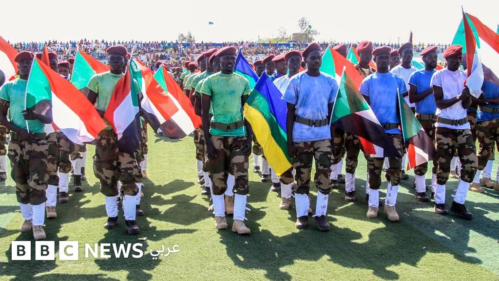 حركة تحرير السودان: كيف نشأت وأين هي اليوم؟