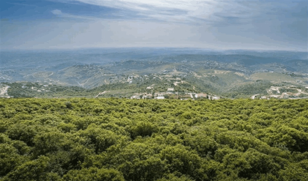 نائب في "حزب الله": المقاومة لم تعُد خياراً