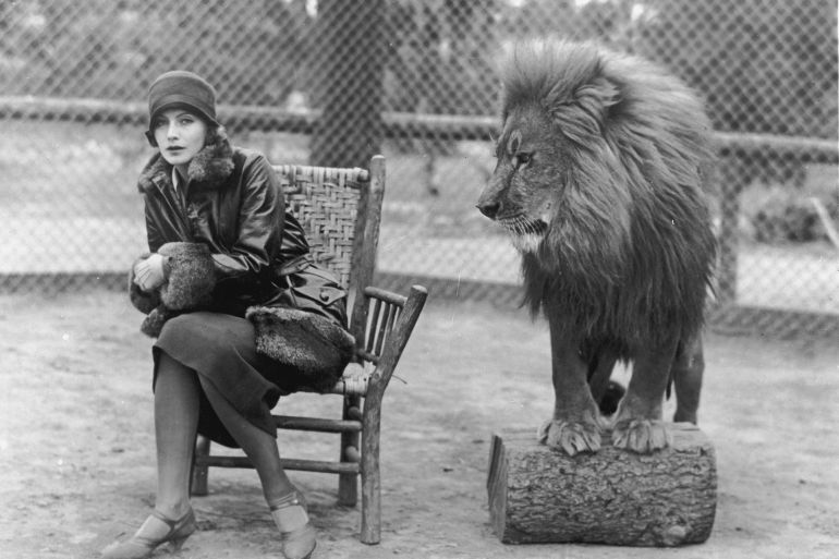 1925: Swedish-born actress Greta Garbo (1905 - 1990) sits in a chair next to Leo, the lion mascot for MGM studios. (Photo by Marc Wanamaker/Hulton Archive/Getty Images)