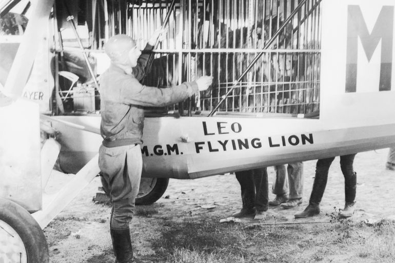 Aviator Marten Jensen, second place winner in the 1927 Dole Trans-Pacific Air Race, pictured with the MGM studios lion, Leo. Marten planned to fly Leo from California to New York on a non-stop transcontinental flight in specially built Ryan plane, but Marten crash landed in a remote section of Arizona. Luckily Marten was unhurt and Leo was transported the rest of the way to New York by truck.