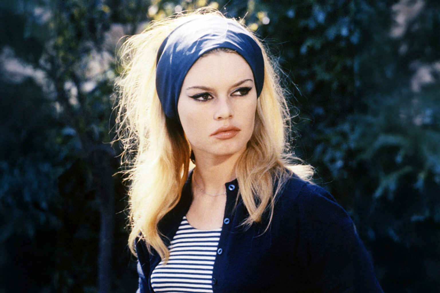 النجمة بريجيت باردو في كتابها: اليمين "العلاج الوحيد الطارئ لاحتضار فرنسا" | فن