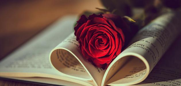 صورة تعبيرية (مواقع).