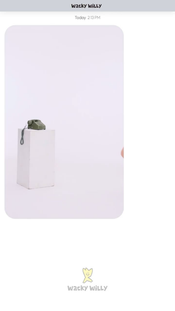 250929 GISELLE لمجموعة Wacky Willy FW25