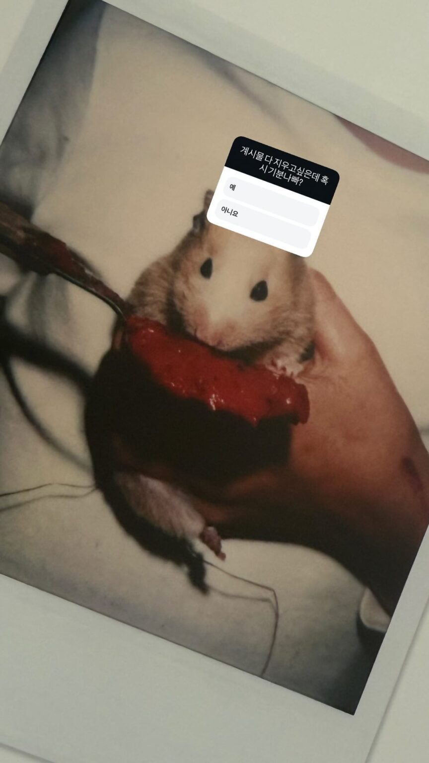 250923 تحديث قصة الإضاءة Instagram