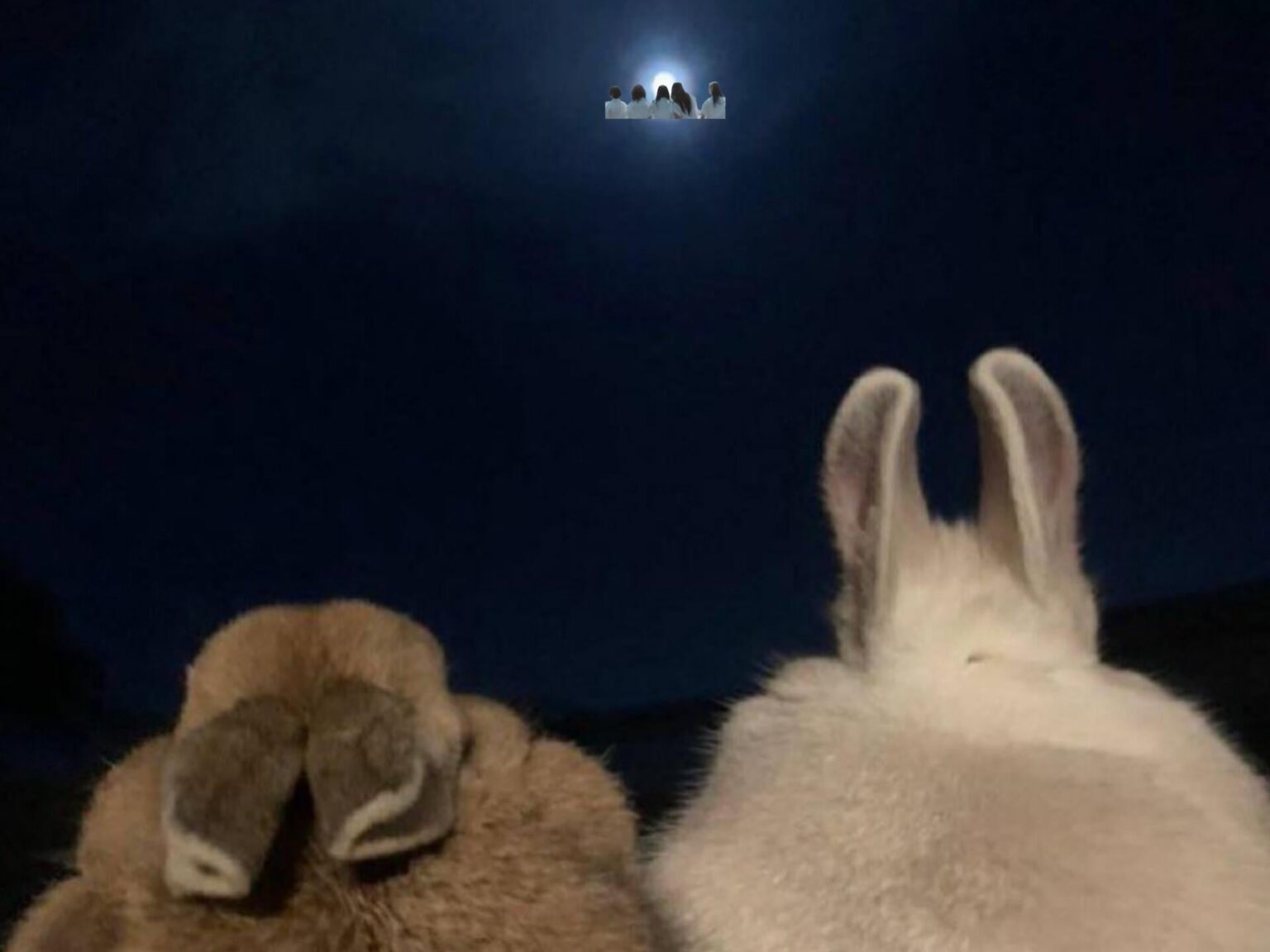 كيف شعرت هذه الأيام