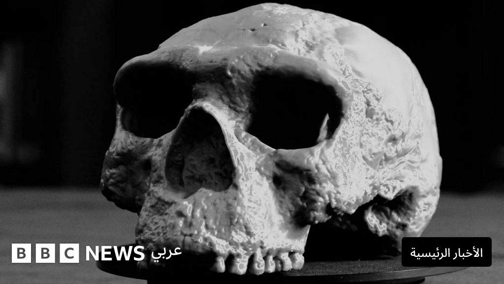 اكتشاف جمجمة عمرها مليون سنة قد تقلب نظريات تطور الإنسان