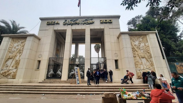 أفضل 4 أنشطة في حديقة حيوان الجيزة القاهرة