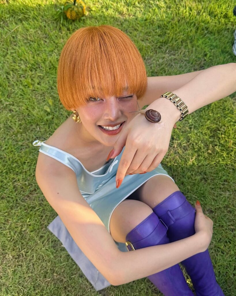 250905 تحديث ميني إنستغرام