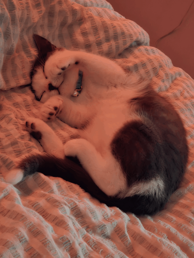 لم تستمع إلى أي KPOP في غضون بضع سنوات. قررت الاطلاع على ألبوم Chaeyoung الجديد عندما قفزت هاتفي على هاتفي وقمت بتنزيل الألبوم بالكامل من أجلي.