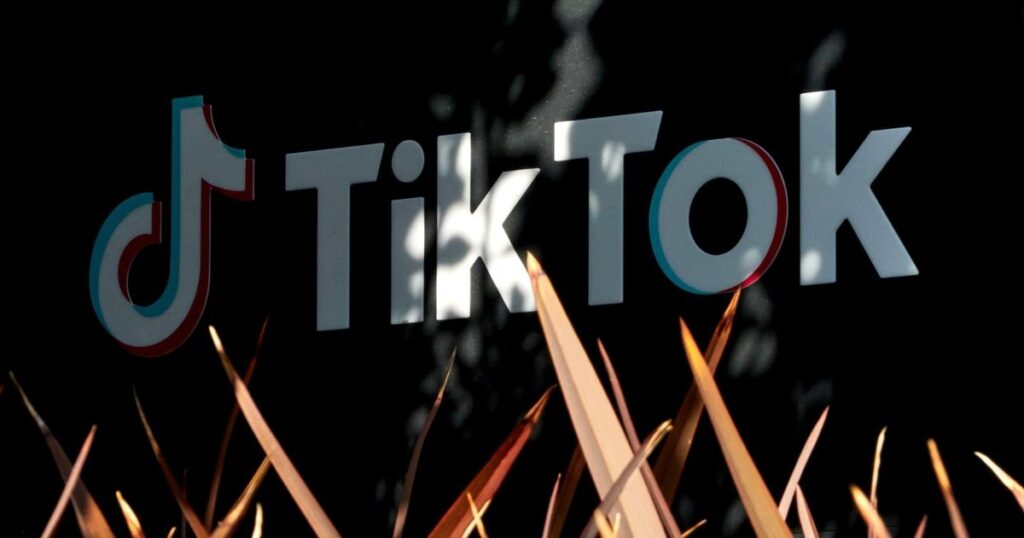 ترمب يوقع أمراً بشأن “تيك توك” الأميركي بتقييم 14 مليار دولار stock-down