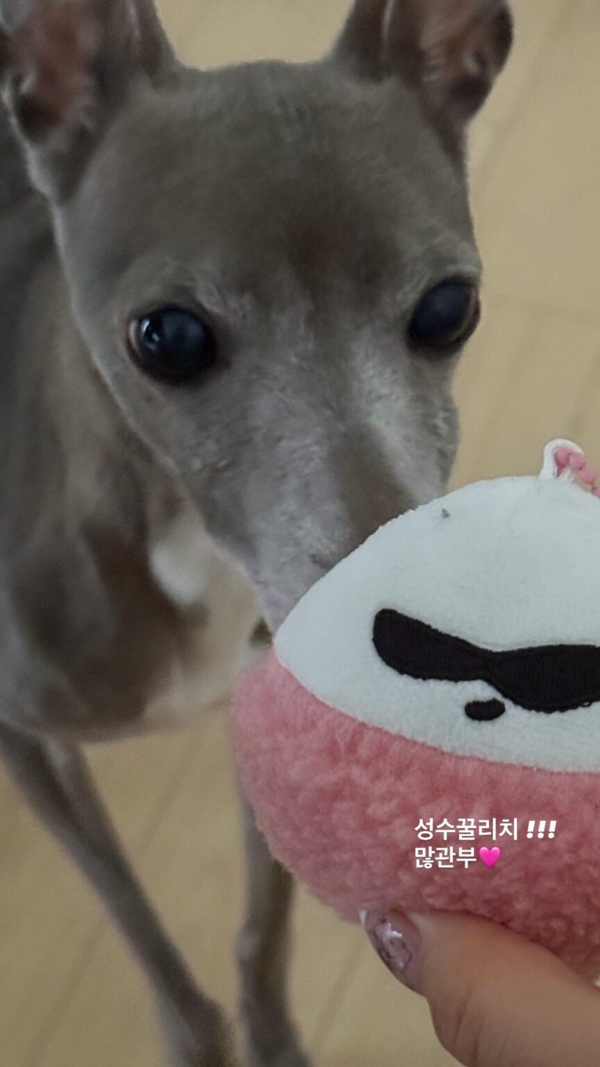 250901 تحديث قصة Giselle Instagram مع Cooper