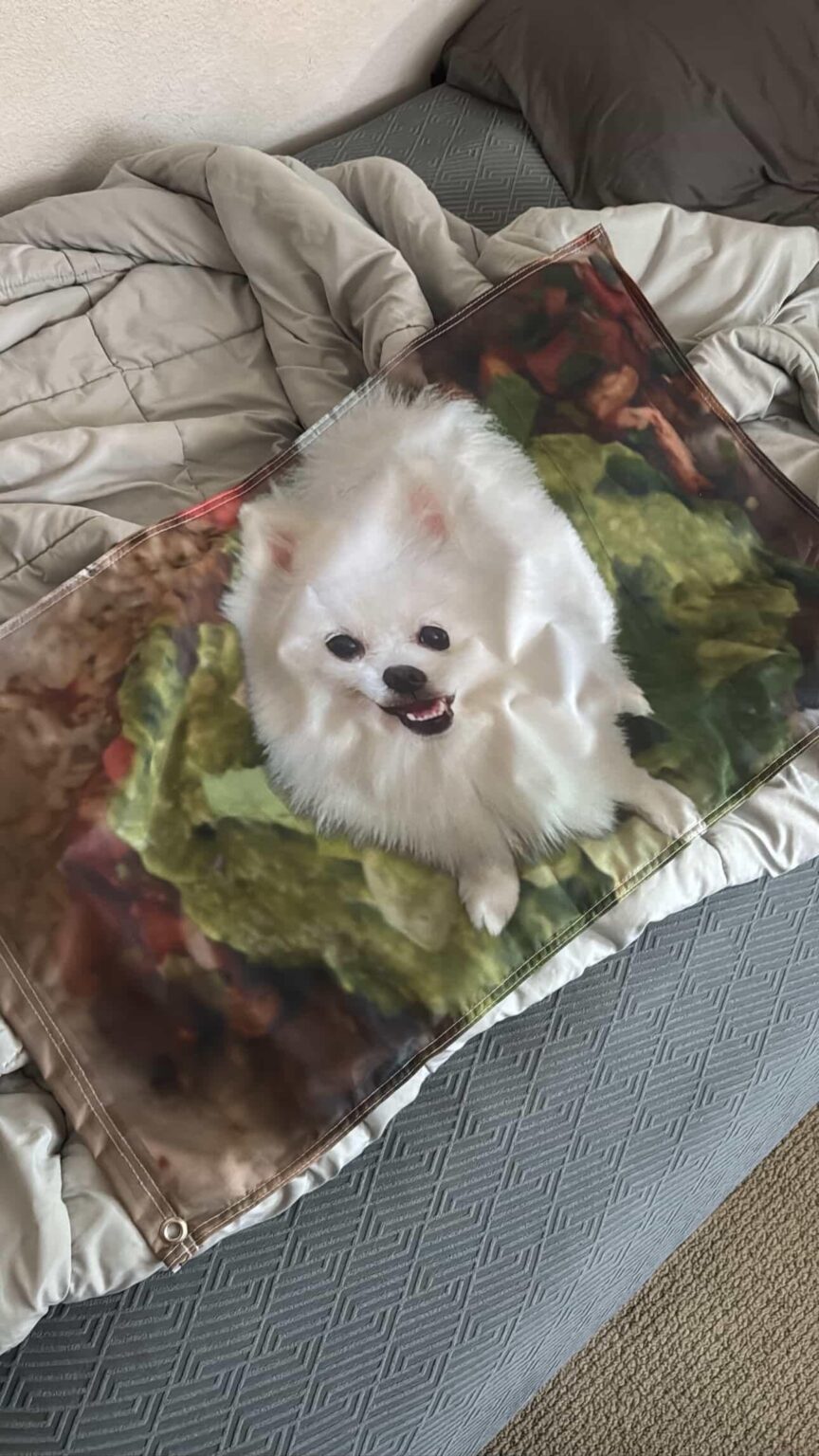 سوف تشايون مثل علمي