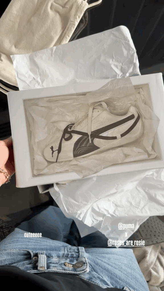 250907 تحديث قصة أليس إيج مع الورود