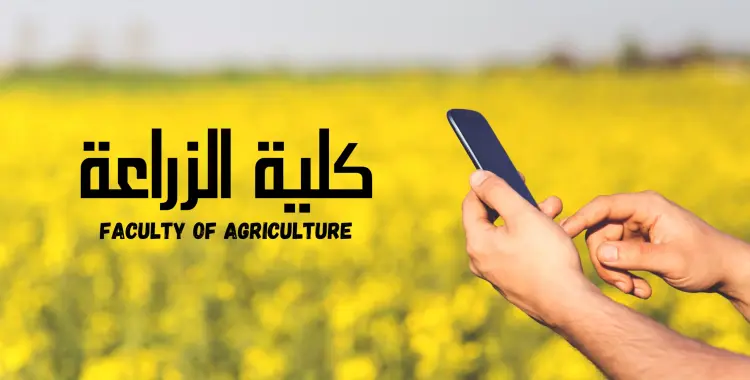لوجو موقع شبابيك