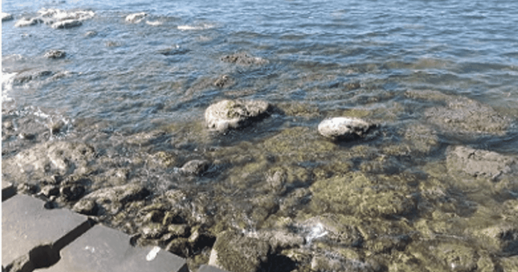 ظاهرة مقلقة في الإسكندرية.. شاطئ رملي وحقيقة "تسونامي"