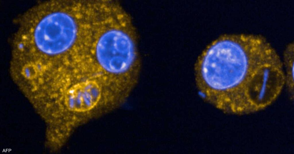 “بكتيريا قاتلة” تنتشر.. تحذير من منظمة الصحة العالمية "بكتيريا قاتلة" تنتشر.. تحذير من منظمة الصحة العالمية