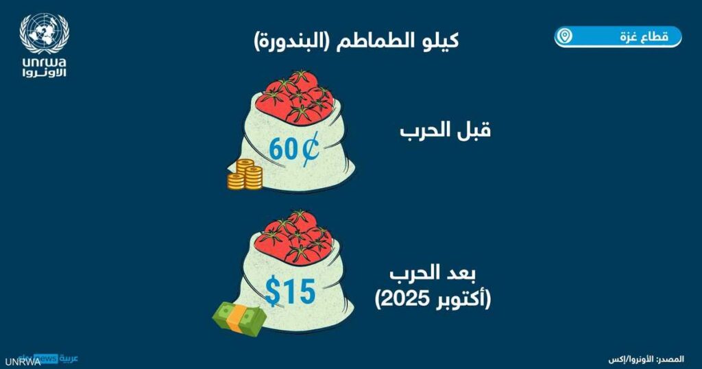 أونروا: الناس لا يستطيعون تحمل تكلفة الطعام الذي ظهر في غزة أونروا: الناس لا يستطيعون تحمل تكلفة الطعام الذي ظهر في غزة