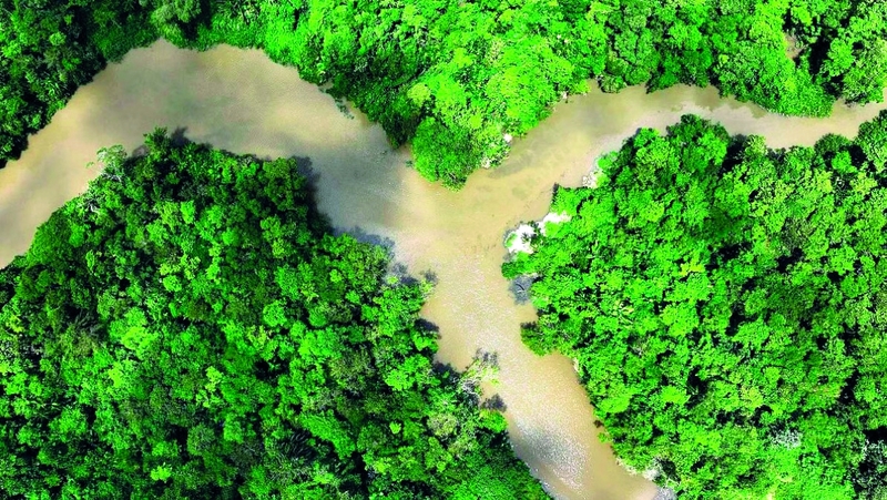 بسبب تغير المناخ.. غابات أستراليا المطيرة تُطلق الكربون بدل امتصاصه