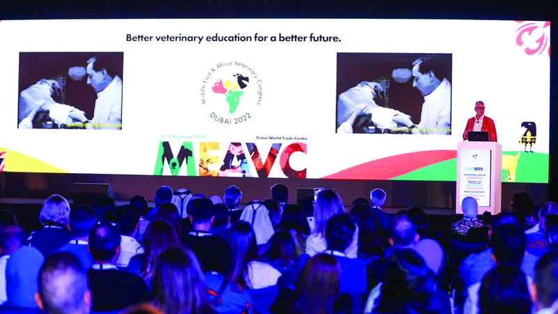 دبي تستضيف المؤتمر البيطري للشرق الأوسط وإفريقيا دبي تستضيف المؤتمر البيطري للشرق الأوسط وإفريقيا