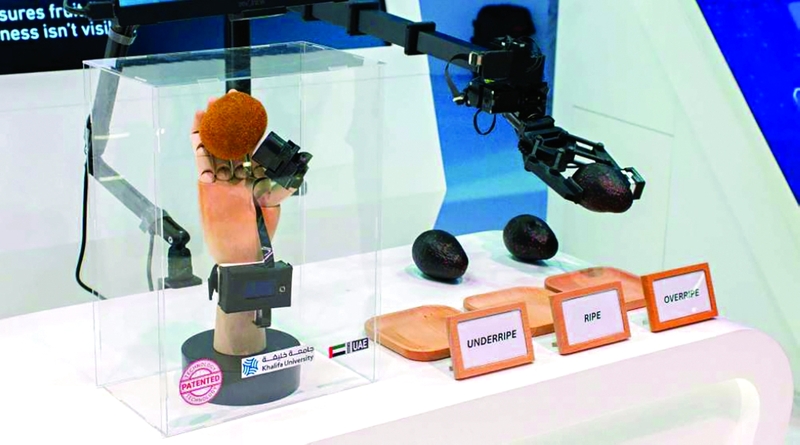 «تاتش رايب» أول جهاز إماراتي محمول لقياس نضج الفاكهة بالذكاء الاصطناعي