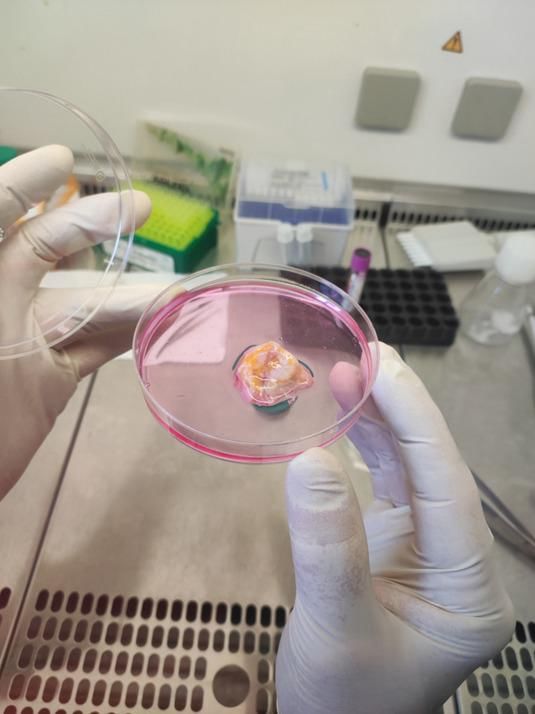 «أبوظبي للخلايا الجذعية» يطلق علاجاً مبتكراً للسرطان «أبوظبي للخلايا الجذعية» يطلق علاجاً مبتكراً للسرطان