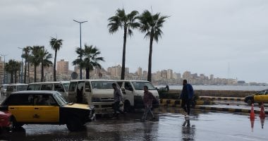 الإسكندرية تواجه 6 نوات شتوية.. تعرف على مواعيدها