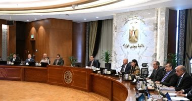3 قرارات جديدة من مجلس الوزراء.. تعرف عليها