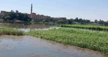 ما يحدث ليس فيضانا.. ارتفاع منسوب النيل مرتبط بتصرفات إثيوبيا الأحادية