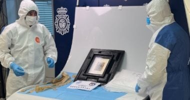 استعادة لوحة الفنان العالمى بيكاسو بعد أسابيع من اختفائها.. اعرف القصة