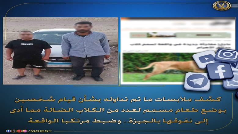 بوستر الداخلية