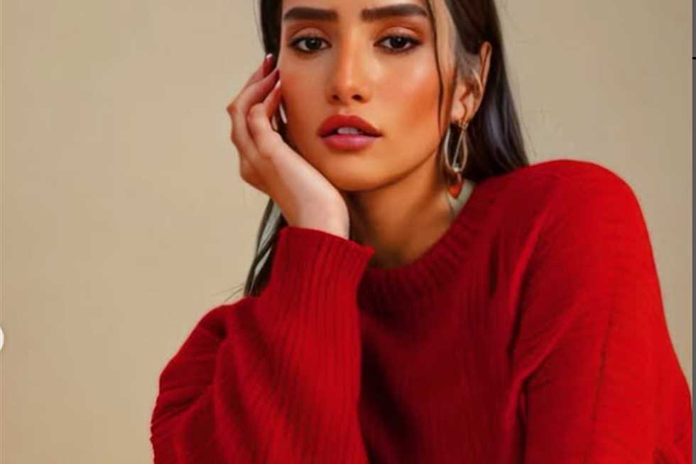 زينة لـ المحكمة: أحمد عز من كبار الأثرياء.. ومستندات جديدة تثبت دخله الحقيقي