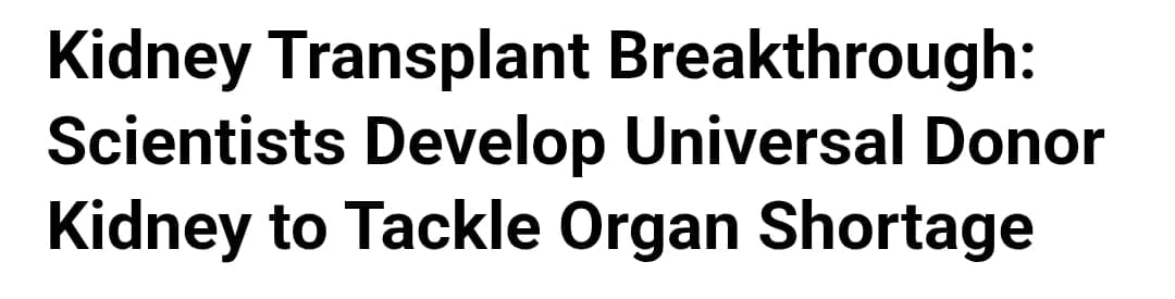 WhatsApp Image 2025-10-04 at 10.20.13 AM WhatsApp Image 2025-10-04 at 10.20.13 AM