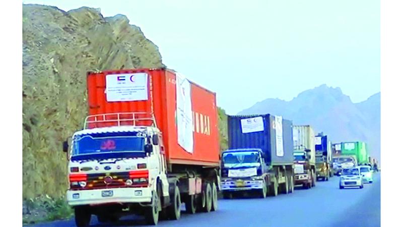 44005569 b1e0 48a9 98d7 fb33abfbede3 file.jpg