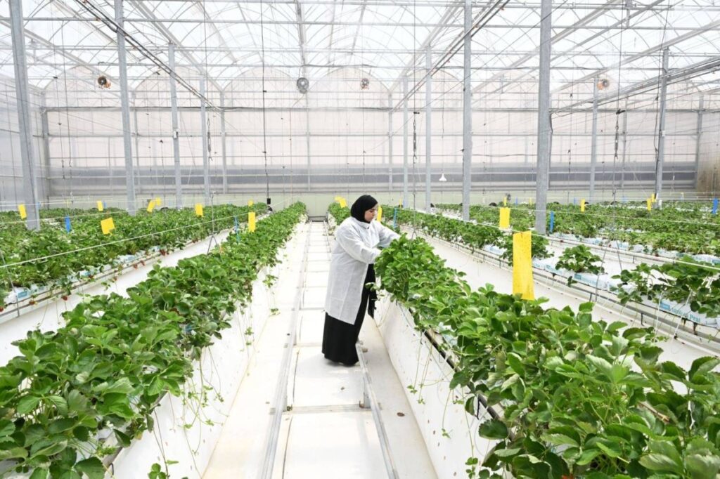 الإمارات تواصل تعزيز مكانتها العالمية في منظومة الأمن الغذائي Al Bayan