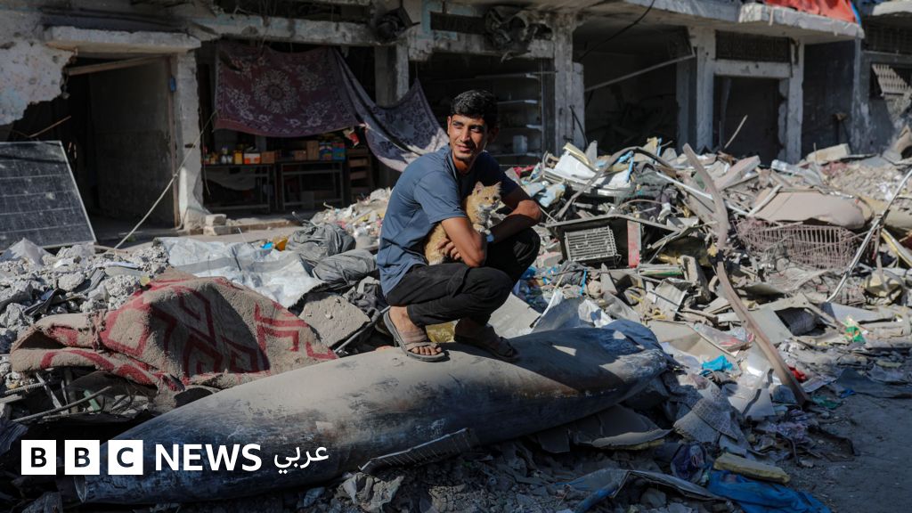 "هذا ليس وقف إطلاق نار حقيقياً في غزة" – مقال في الغارديان