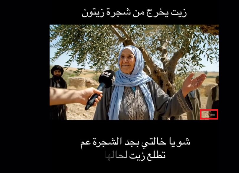 شعار VEO اسفل المقطع 