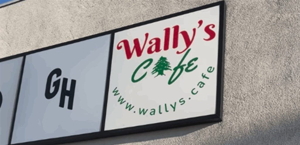 إنجاز جديد.. الإبداع اللبناني يحجز المراكز الأولى في أميركا Doc-P-1424708-638950866393548818.png