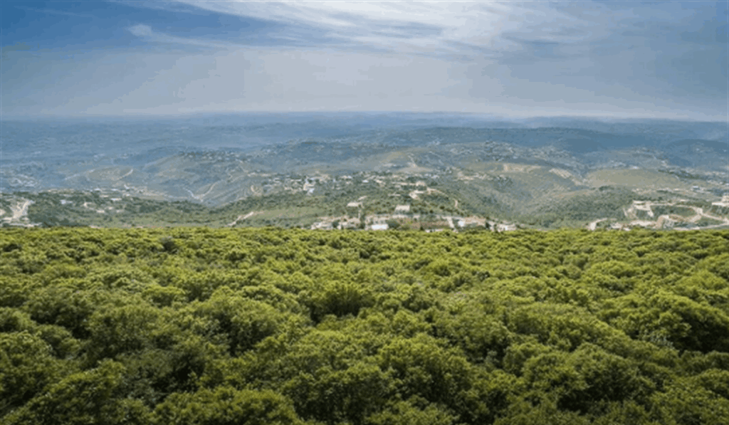 تصعيدٌ مقبل.. وهذه السيناريوهات!